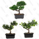 Image for article titled Stock up on Fake Plants at Wayfair
